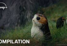 Creatures of Star Wars | Official Compilation