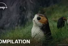 Creatures of Star Wars | Official Compilation