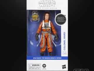 Hasbro Star Wars The Black Series Colonel Ward 1