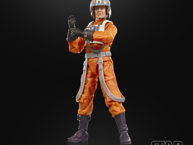 Hasbro Star Wars The Black Series Colonel Ward 5