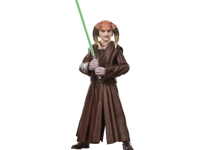 STAR WARS BLACK SERIES SAESEE TIIN (1)